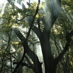 Meet your Posher, Gaby